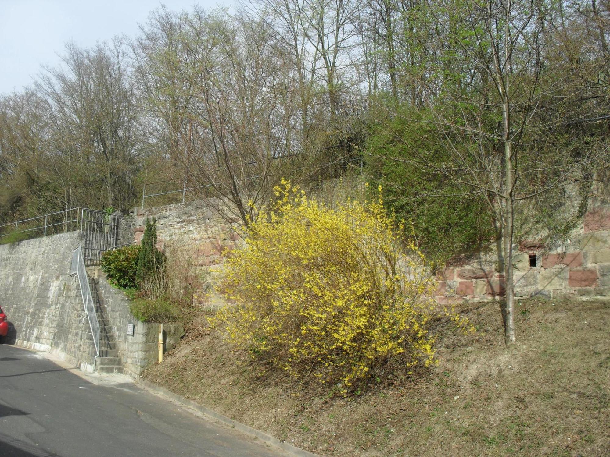Hotel Demling Randersacker Εξωτερικό φωτογραφία